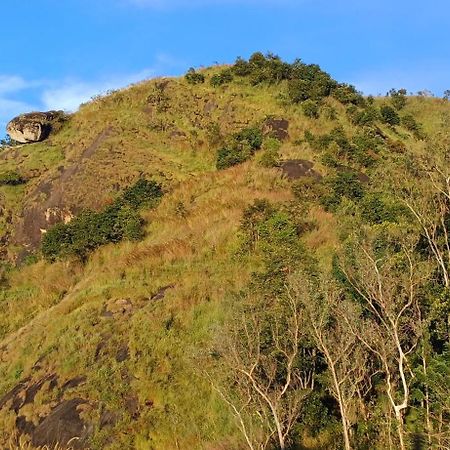 Munnar Green Home Anaviratty Exterior foto