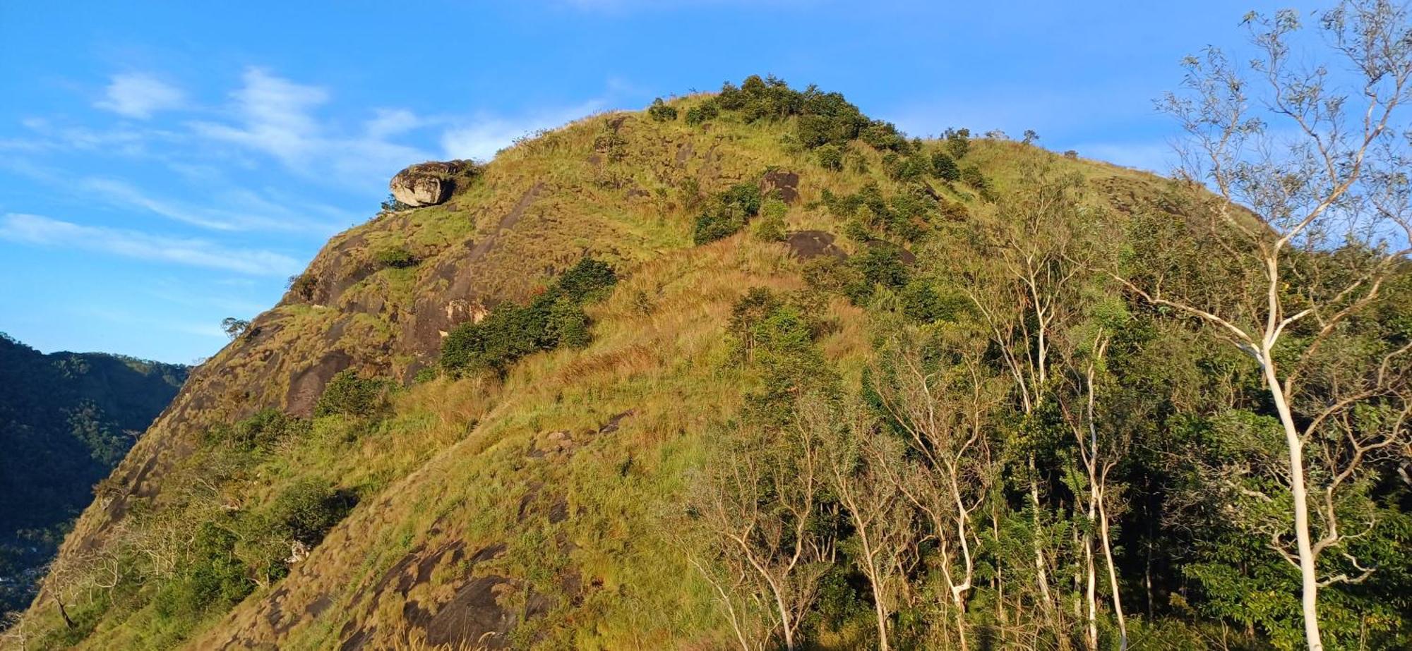 Munnar Green Home Anaviratty Exterior foto